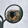 _ipann21