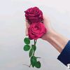 user6001180215702