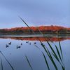 keltyn_11