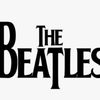 beetle.com2