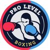 Pro Level Boxing