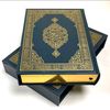 assna295