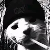 lyx.com.www