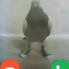 wakeupjakub