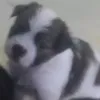 jhnnbbn0