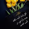 salehalmahamed1