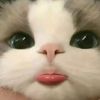 user7634928