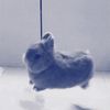 tanbunnyqs