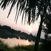 hussain1235613