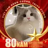 hong.con95