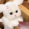 jerry_mimo