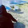 habashe11