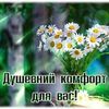 user7362762305760