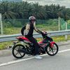 apinz.520
