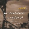 user86161130152963