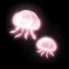 jellyfish_ws