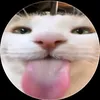 pnkz_01