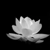 nguyn.thy4388