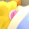ninfaaki