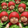 p.piestrawberry