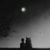 wolf_ooff