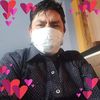 gato_223felix1