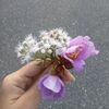 may.p0r