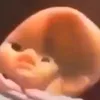 taosaoketaook
