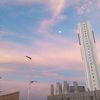 piragustin