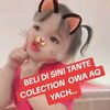 twicha_collection_