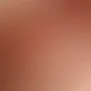 haschmatulla.popal