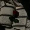 _1qusq