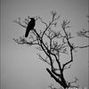 lucifer179119