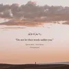 adi_o87