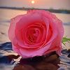 user44028350197264