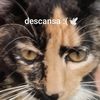 sara_cuent3
