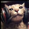 thiagoxddx2.com0