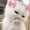 younghaeun0