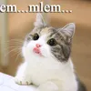 molem.laem