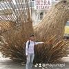 mayunapi