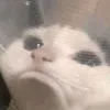 https.hxnn4h