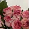 mahra.a