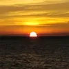 jdvlogs311