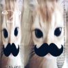 username1453886