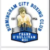 bhamcitydeboxing