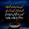 mudassar.alli59