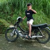 kepincacing_72