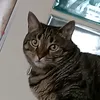 ilariapierro7