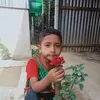 nafe.nafe12