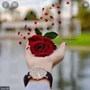 user8188780166559